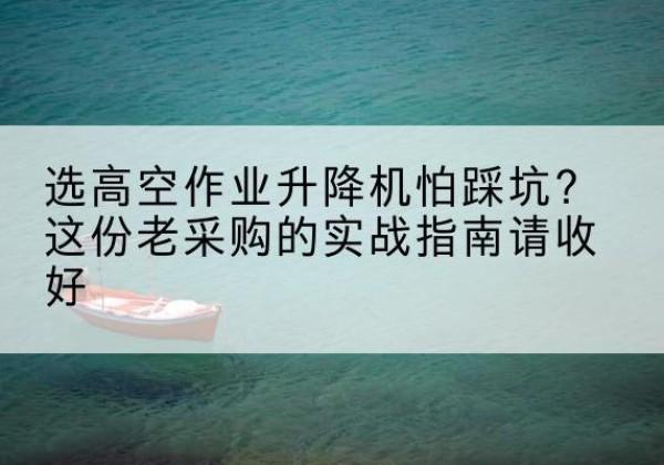 池州高空作业升降机厂家推荐-选高空作业升降机怕踩坑？这份老采购的实战指南请收好