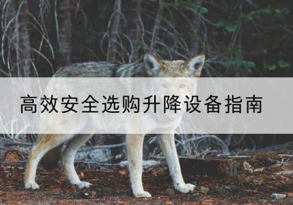 池州升降货梯厂家推荐-*安全选购升降设备指南
