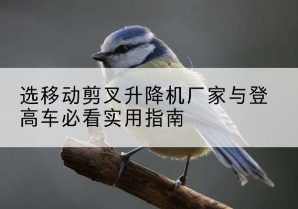池州电动升降机厂家-选移动剪叉升降机厂家与登高车必看实用指南