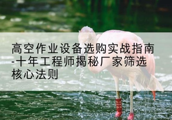 池州剪叉式升降机厂家-高空作业设备选购实战指南-十年工程师揭秘厂家筛选核心法则